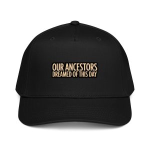 5 panel cap